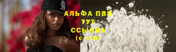 СК Осташков