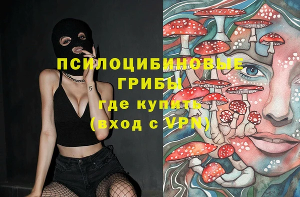 PSILOCYBIN Гусев