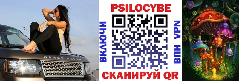 Псилоцибиновые грибы мицелий  купить наркотик  Агрыз 